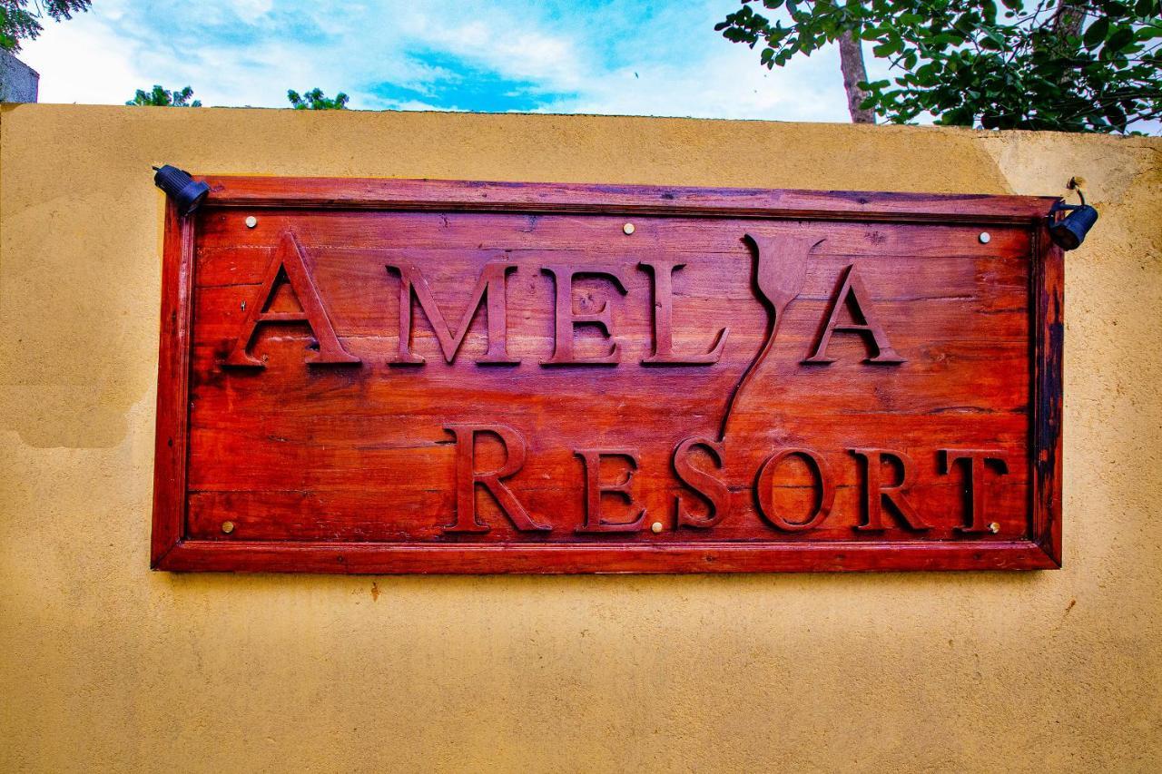 Amelia Resort Sigirîya Extérieur photo