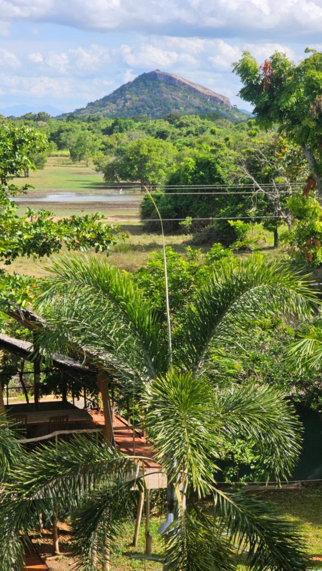 Amelia Resort Sigirîya Extérieur photo