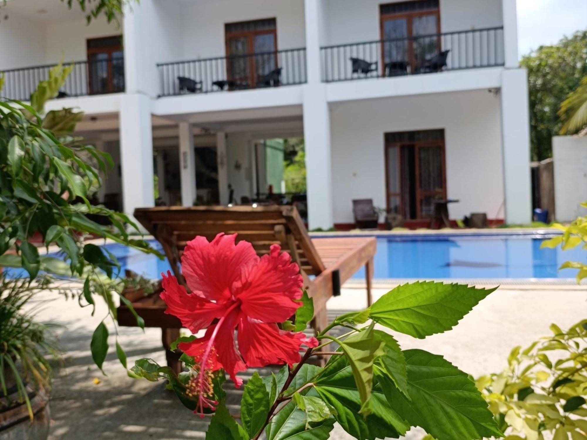Amelia Resort Sigirîya Extérieur photo