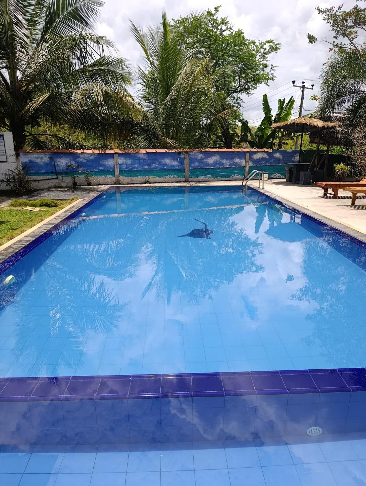 Amelia Resort Sigirîya Extérieur photo