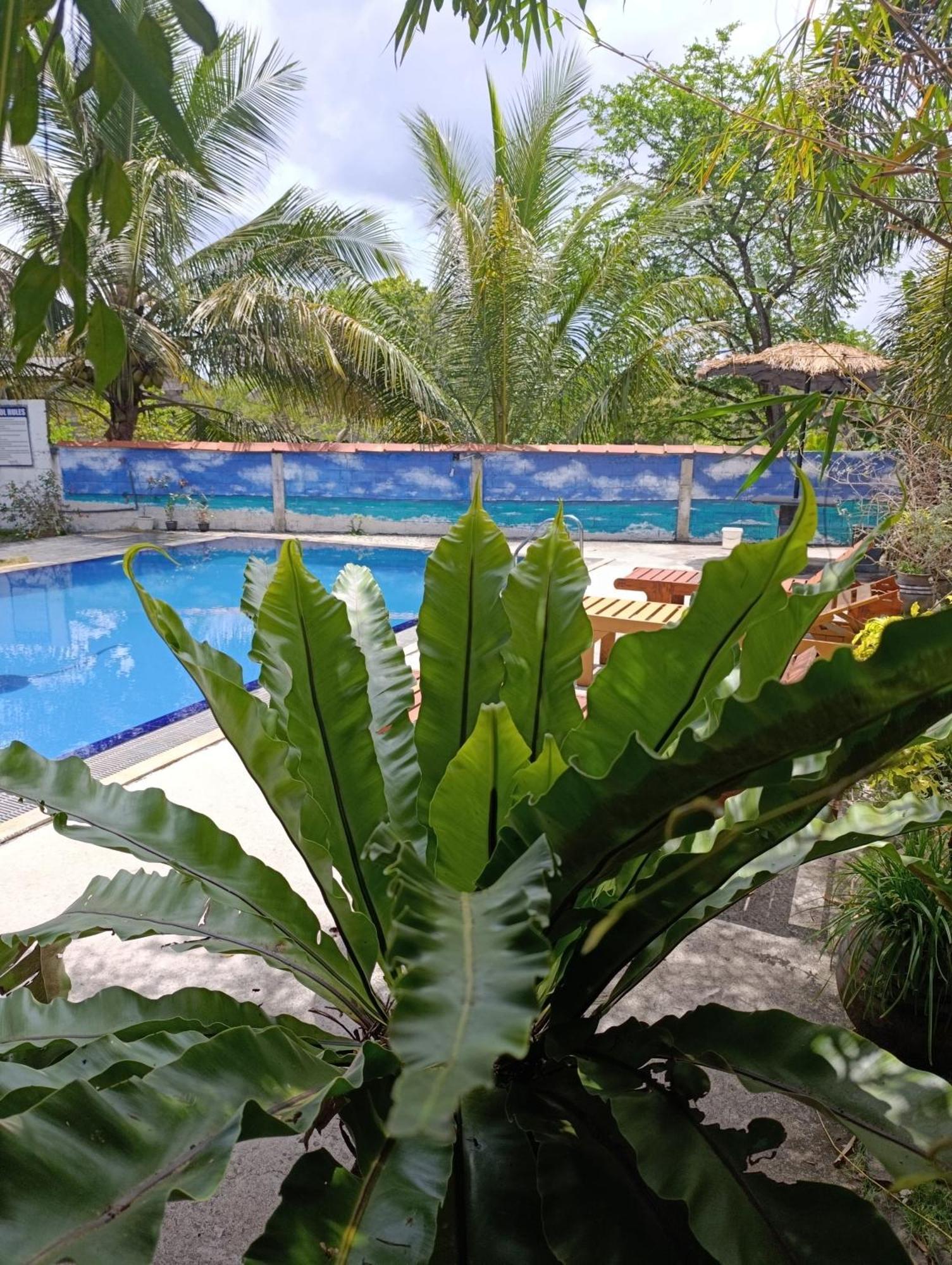 Amelia Resort Sigirîya Extérieur photo