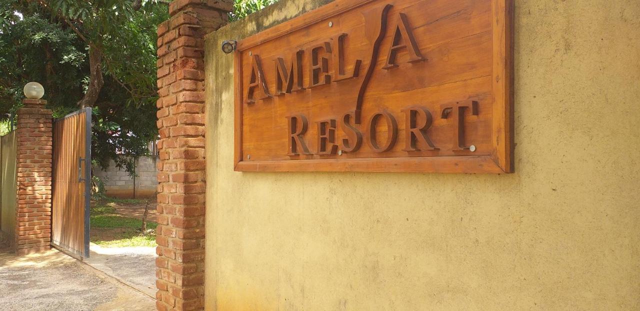 Amelia Resort Sigirîya Extérieur photo